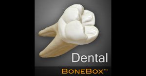 BoneBox